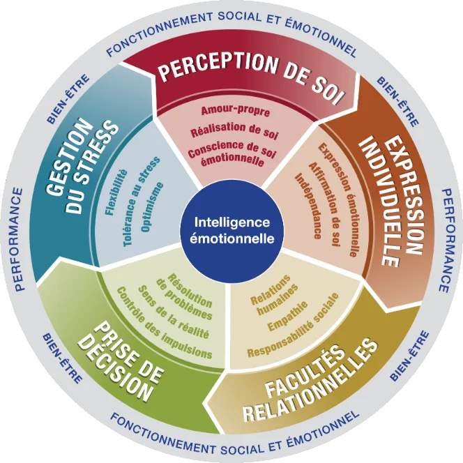 La roue des émotions en intelligence émotionnelle